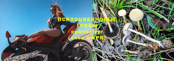 крисы Орск