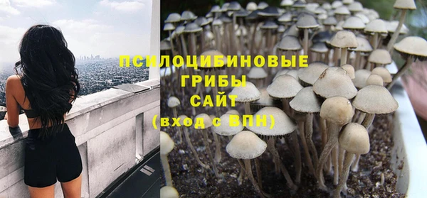крисы Орск