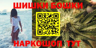 ALPHA PVP Гай