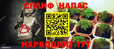 крисы Гусев