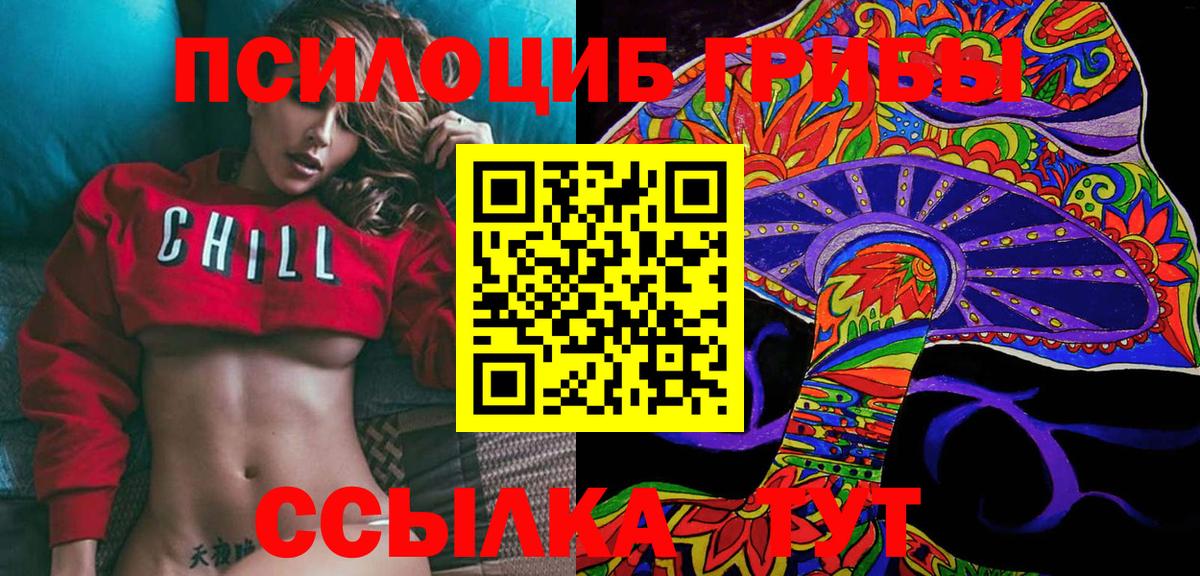Галлюциногенные грибы Psilocybine cubensis Златоуст