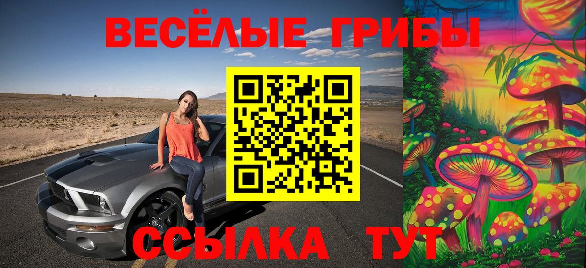 Псилоцибиновые грибы MAGIC MUSHROOMS  Псилоцибиновые грибы прущие грибы  Вход с VPN  Златоуст 